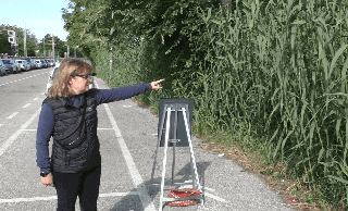 Pesaro - Folta vegetazione e rete divelta lungo via La Marca, pericolo per i bimbi